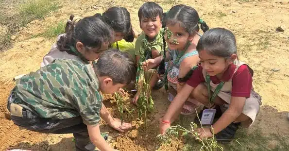 Community Activities