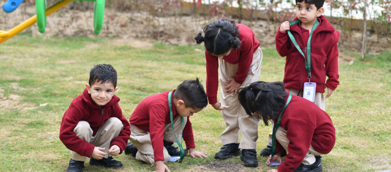Role of Parents in Early Childhood Education